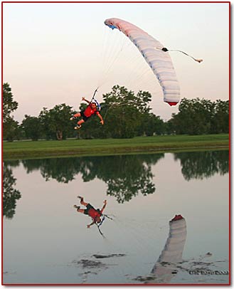 Swooping the pond